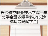 长沙航空职业技术学院一年奖学金最多能拿多少(长沙航院最高奖学金)