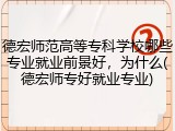 德宏师范高等专科学校哪些专业就业前景好，为什么(德宏师专好就业专业)