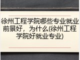 徐州工程学院哪些专业就业前景好，为什么(徐州工程学院好就业专业)