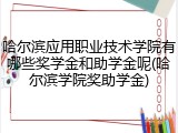 哈尔滨应用职业技术学院有哪些奖学金和助学金呢(哈尔滨学院奖助学金)