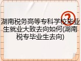 湖南税务高等专科学校毕业生就业大致去向如何(湖南税专毕业生去向)