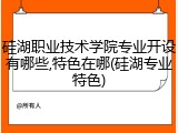 硅湖职业技术学院专业开设有哪些,特色在哪(硅湖专业特色)