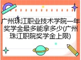 广州珠江职业技术学院一年奖学金最多能拿多少(广州珠江职院奖学金上限)