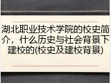 湖北职业技术学院的校史简介，什么历史与社会背景下建校的(校史及建校背景)
