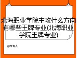 北海职业学院主攻什么方向有哪些王牌专业(北海职业学院王牌专业)