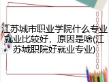 江苏城市职业学院什么专业就业比较好，原因是啥(江苏城职院好就业专业)