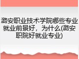 潞安职业技术学院哪些专业就业前景好，为什么(潞安职院好就业专业)