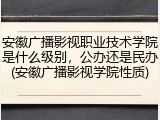 安徽广播影视职业技术学院是什么级别，公办还是民办(安徽广播影视学院性质)