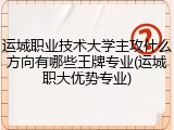 运城职业技术大学主攻什么方向有哪些王牌专业(运城职大优势专业)