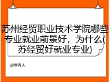 苏州经贸职业技术学院哪些专业就业前景好，为什么(苏经贸好就业专业)