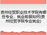 贵州经贸职业技术学院有哪些专业，就业前景如何(贵州经贸学院专业就业)