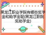 黑龙江职业学院有哪些奖学金和助学金呢(黑龙江职院奖助学金)