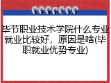 毕节职业技术学院什么专业就业比较好，原因是啥(毕职就业优势专业)