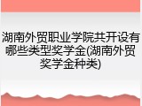 湖南外贸职业学院共开设有哪些类型奖学金(湖南外贸奖学金种类)