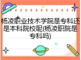 杨凌职业技术学院是专科还是本科院校呢(杨凌职院是专科吗)