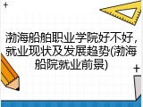 渤海船舶职业学院好不好，就业现状及发展趋势(渤海船院就业前景)