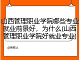 山西管理职业学院哪些专业就业前景好，为什么(山西管理职业学院好就业专业)
