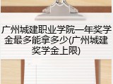 广州城建职业学院一年奖学金最多能拿多少(广州城建奖学金上限)