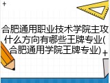 合肥通用职业技术学院主攻什么方向有哪些王牌专业(合肥通用学院王牌专业)