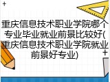 重庆信息技术职业学院哪个专业毕业就业前景比较好(重庆信息技术职业学院就业前景好专业)