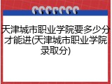 天津城市职业学院要多少分才能进(天津城市职业学院录取分)