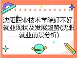 沈阳职业技术学院好不好，就业现状及发展趋势(沈职就业前景分析)