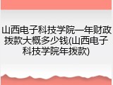 山西电子科技学院一年财政拨款大概多少钱(山西电子科技学院年拨款)
