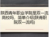陕西青年职业学院是双一流高校吗，简单介绍(陕青职院双一流吗)