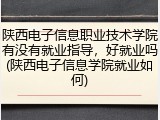 陕西电子信息职业技术学院有没有就业指导，好就业吗(陕西电子信息学院就业如何)