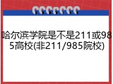 哈尔滨学院是不是211或985高校(非211/985院校)