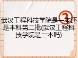 武汉工程科技学院是一本还是本科第二批(武汉工程科技学院是二本吗)