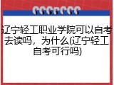 辽宁轻工职业学院可以自考去读吗，为什么(辽宁轻工自考可行吗)