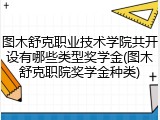 图木舒克职业技术学院共开设有哪些类型奖学金(图木舒克职院奖学金种类)