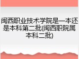 闽西职业技术学院是一本还是本科第二批(闽西职院属本科二批)