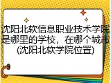 沈阳北软信息职业技术学院是哪里的学校，在哪个城市(沈阳北软学院位置)
