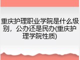 重庆护理职业学院是什么级别，公办还是民办(重庆护理学院性质)