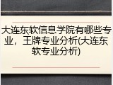 大连东软信息学院有哪些专业，王牌专业分析(大连东软专业分析)