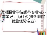 潇湘职业学院哪些专业就业前景好，为什么(潇湘职院就业优势专业)