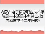 内蒙古电子信息职业技术学院是一本还是本科第二批(内蒙古电子二本院校)