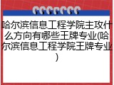 哈尔滨信息工程学院主攻什么方向有哪些王牌专业(哈尔滨信息工程学院王牌专业)