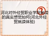 河北对外经贸职业学院就读的真实感觉如何(河北外经贸就读体验)