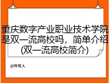 重庆数字产业职业技术学院是双一流高校吗，简单介绍(双一流高校简介)