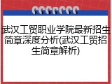 武汉工贸职业学院最新招生简章深度分析(武汉工贸招生简章解析)