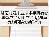 湖南九嶷职业技术学院有哪些奖学金和助学金呢(湖南九嶷职院奖助学金)