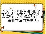 辽宁广告职业学院可以自考去读吗，为什么(辽宁广告职业学院自考原因)