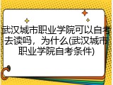 武汉城市职业学院可以自考去读吗，为什么(武汉城市职业学院自考条件)