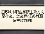 江苏城市职业学院主攻方向是什么，怎么样(江苏城职院主攻方向)