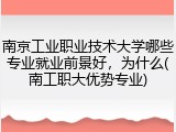 南京工业职业技术大学哪些专业就业前景好，为什么(南工职大优势专业)