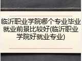 临沂职业学院哪个专业毕业就业前景比较好(临沂职业学院好就业专业)