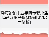 渤海船舶职业学院最新招生简章深度分析(渤海船院招生简析)
